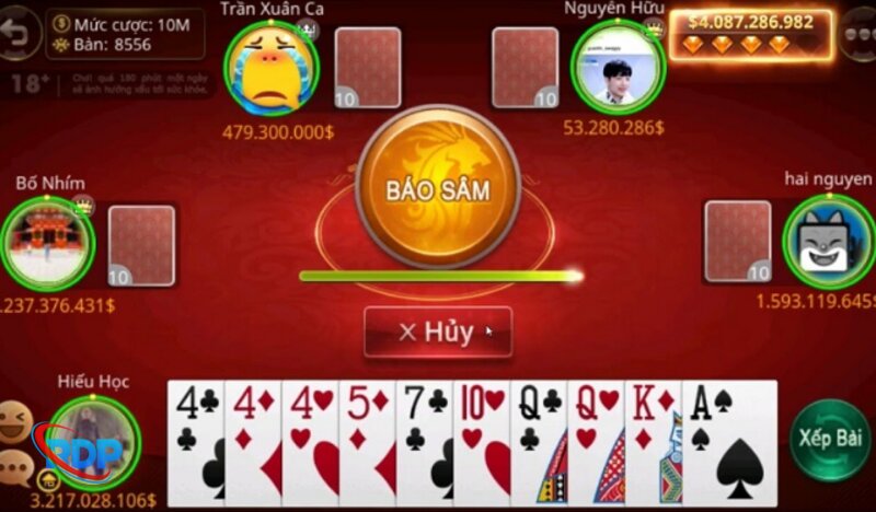 Extra RDP Card Games - Pot Odds, Equity, and Expected Value